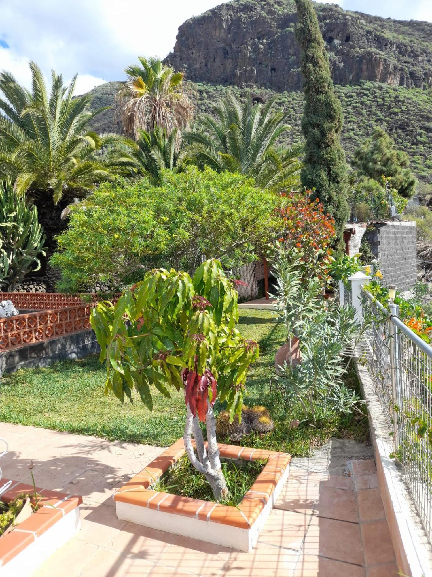 Winter Wonderland Villa Tamaimo Ngoại thất bức ảnh