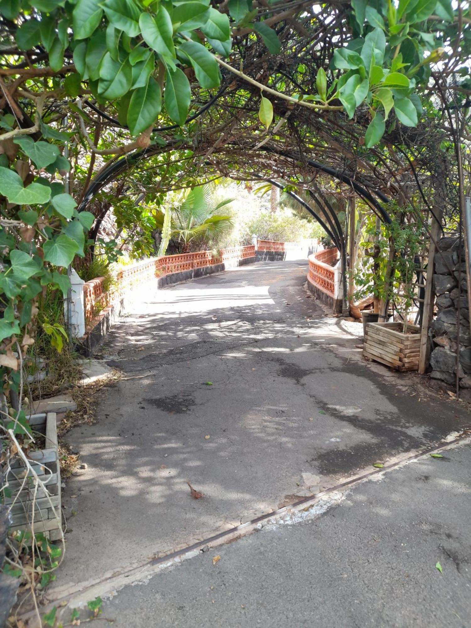 Winter Wonderland Villa Tamaimo Ngoại thất bức ảnh